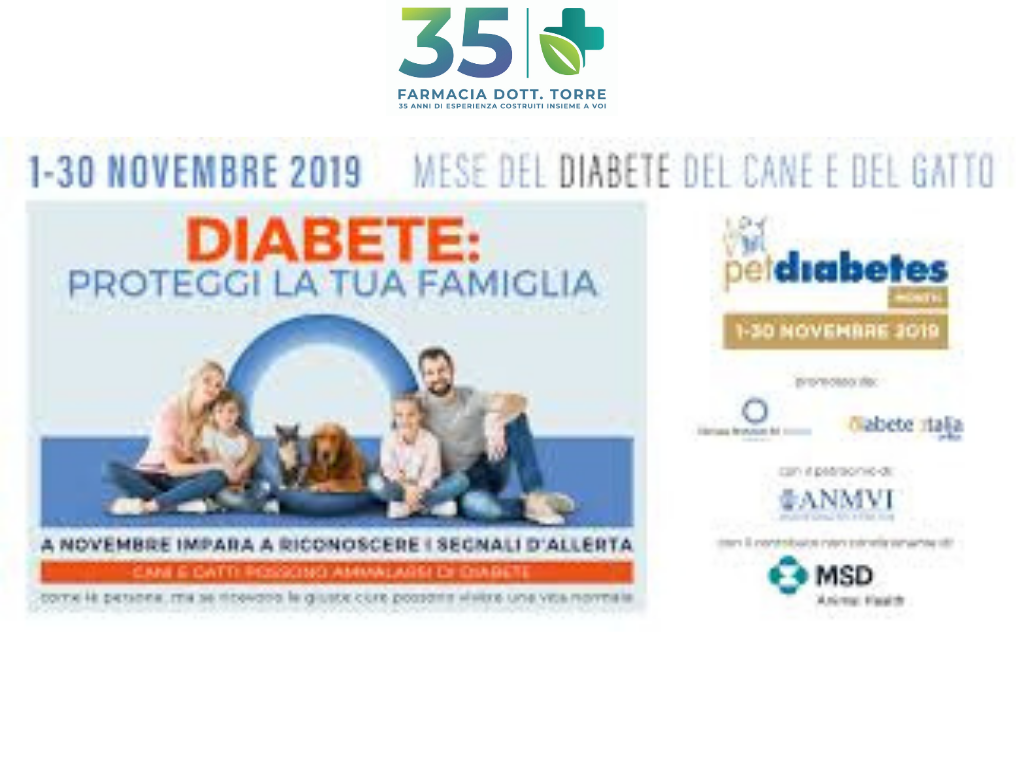 Novembre: mese per la prevenzione del diabete nel cane e nel gatto